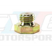 VIS BOUCHON BMW ORIGINE M14X1,5 07119909704 07119919228