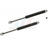 2 VERINS DE CAPOT FEBI BILSTEIN BMW Série 5 E34 Limousine et Touring 51231944119